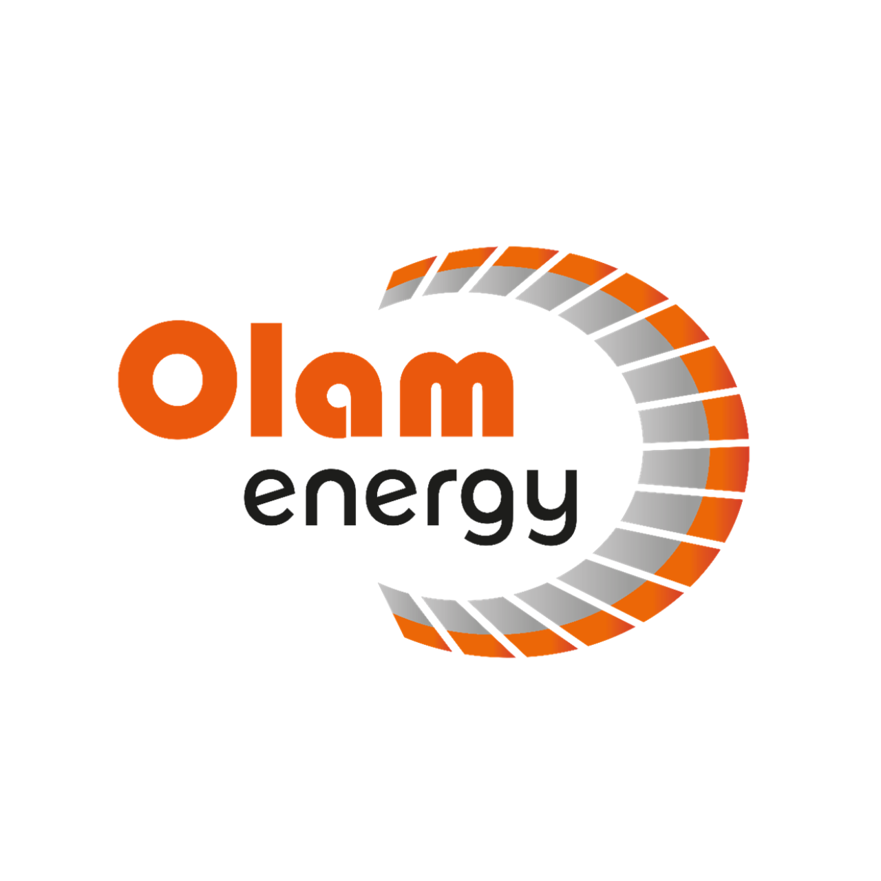 Logo olam 2