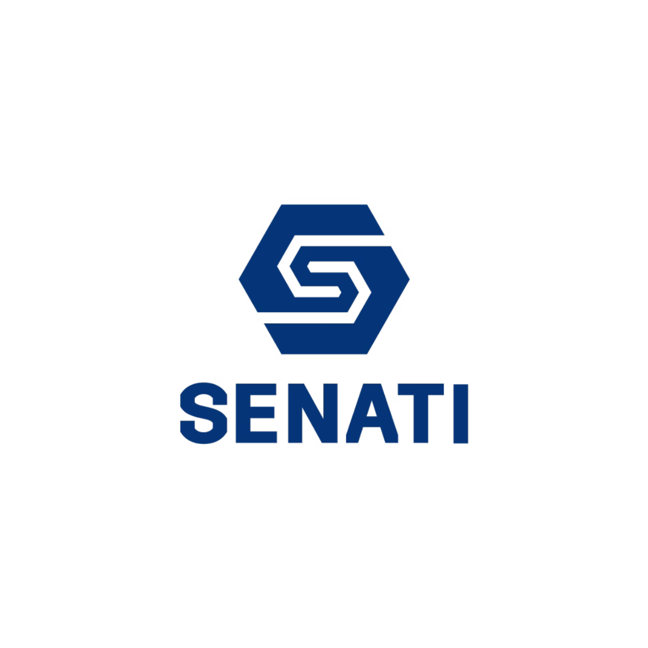 Logo senati 2