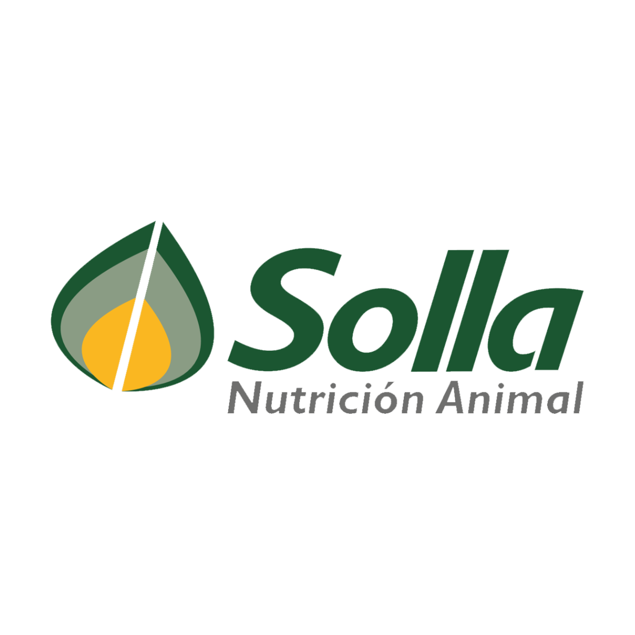 Logo solla 2